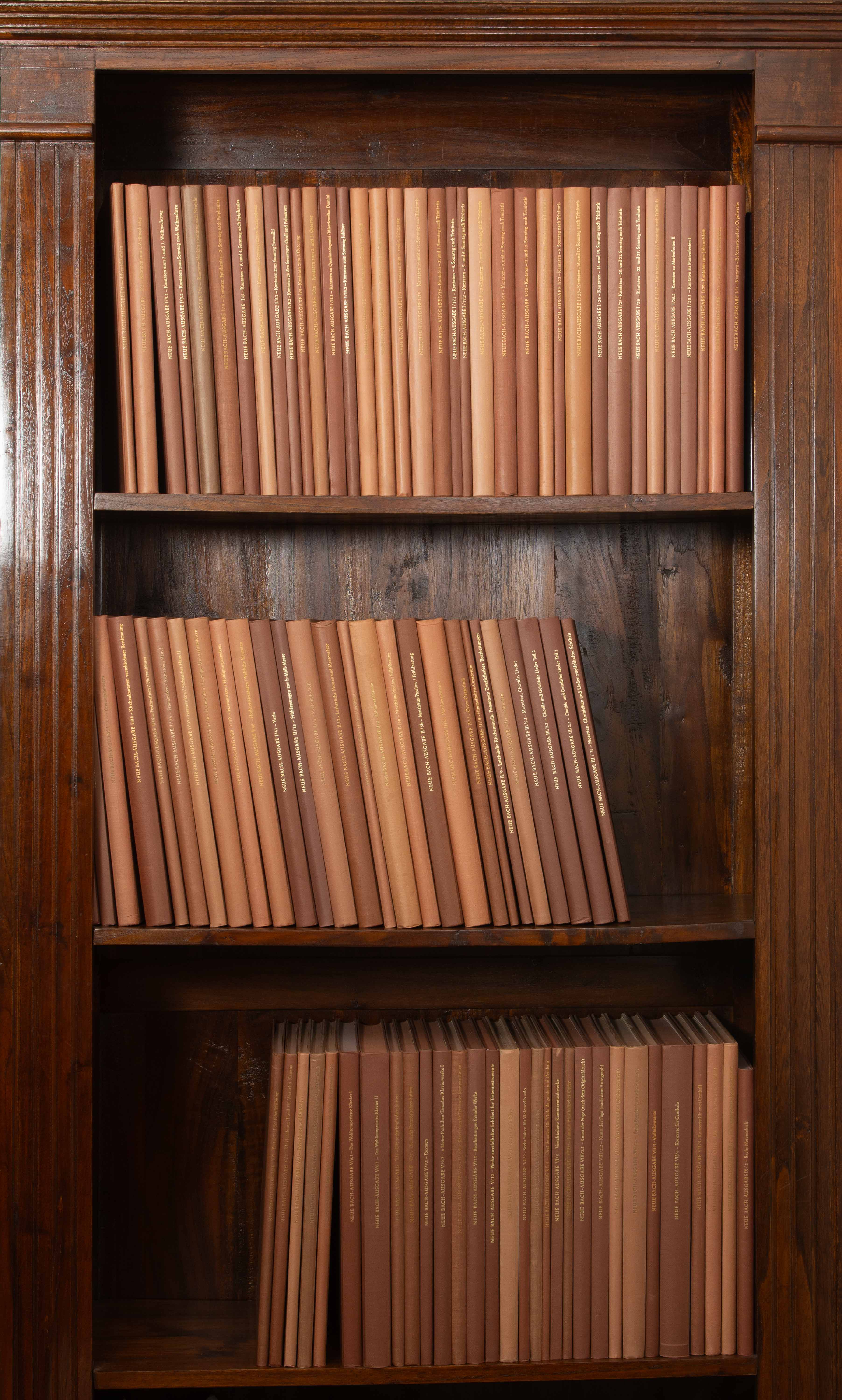 Die Sammlung im Regal